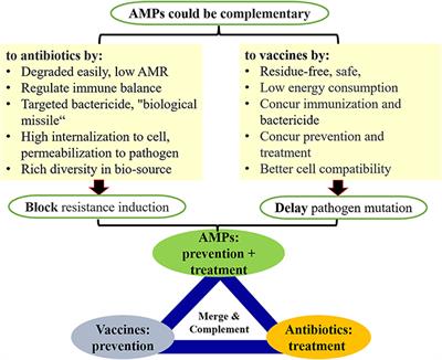 Editorial: Antimicrobial Peptides: Molecular Design, Structure-Function Relationship, and Biosynthesis Optimization